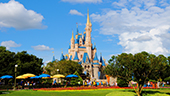Disney's Culture of Excellence | College Edition: Disney Youth Education Series