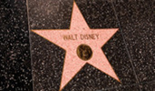 The Hollywood Walk of Fame Walt Disney star The Hollywood Walk of Fame Walt Disney star